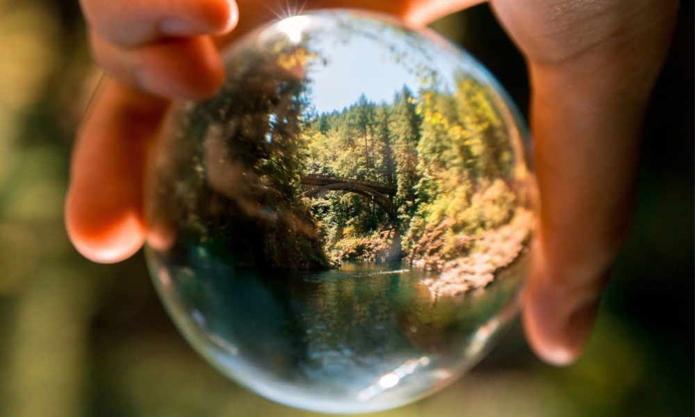 a hand holds a glass globe; a forest scene is reflected in the glass