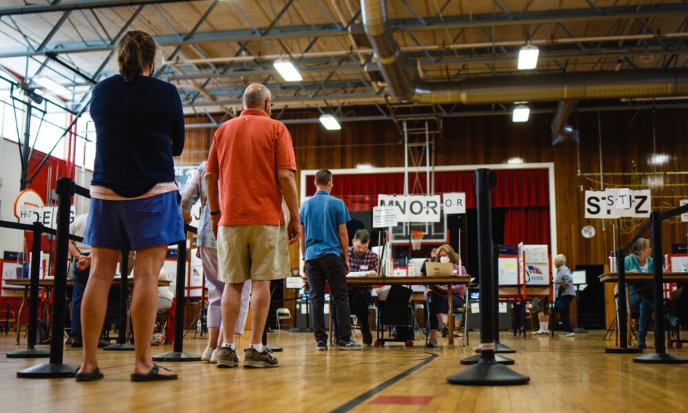 people in line to vote