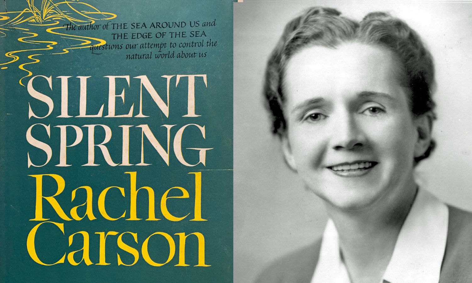 Why Rachel Carson's Silent Spring Still Resonates Today - Union of  Concerned Scientists
