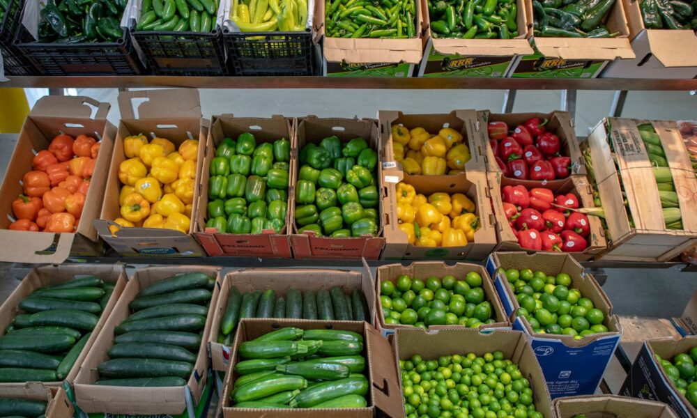 Fruits and vegetables of all sorts are inspected by U.S. Department of Agriculture (USDA) Agriculture Marketing Service (AMS) Market News Reporters and Specialty Crop Inspectors at the Terminal Market in Chicago, April 26, 2019.