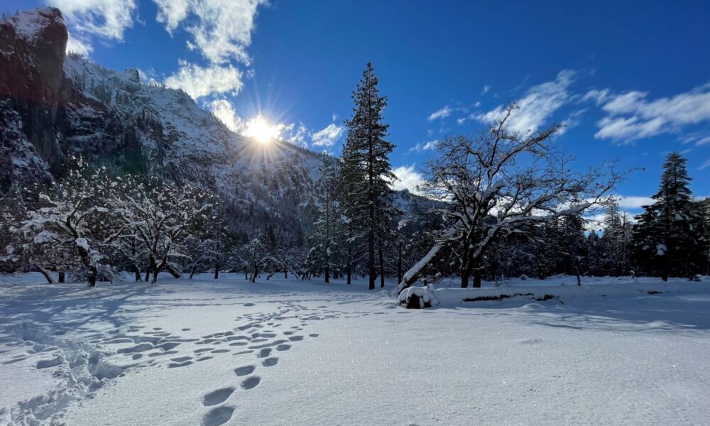 Footsteps in California snowpack on sunny day in mountains