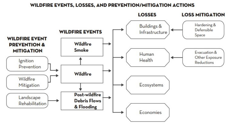 Western Wildfires are Burning Through Local and State Budgets - Union ...