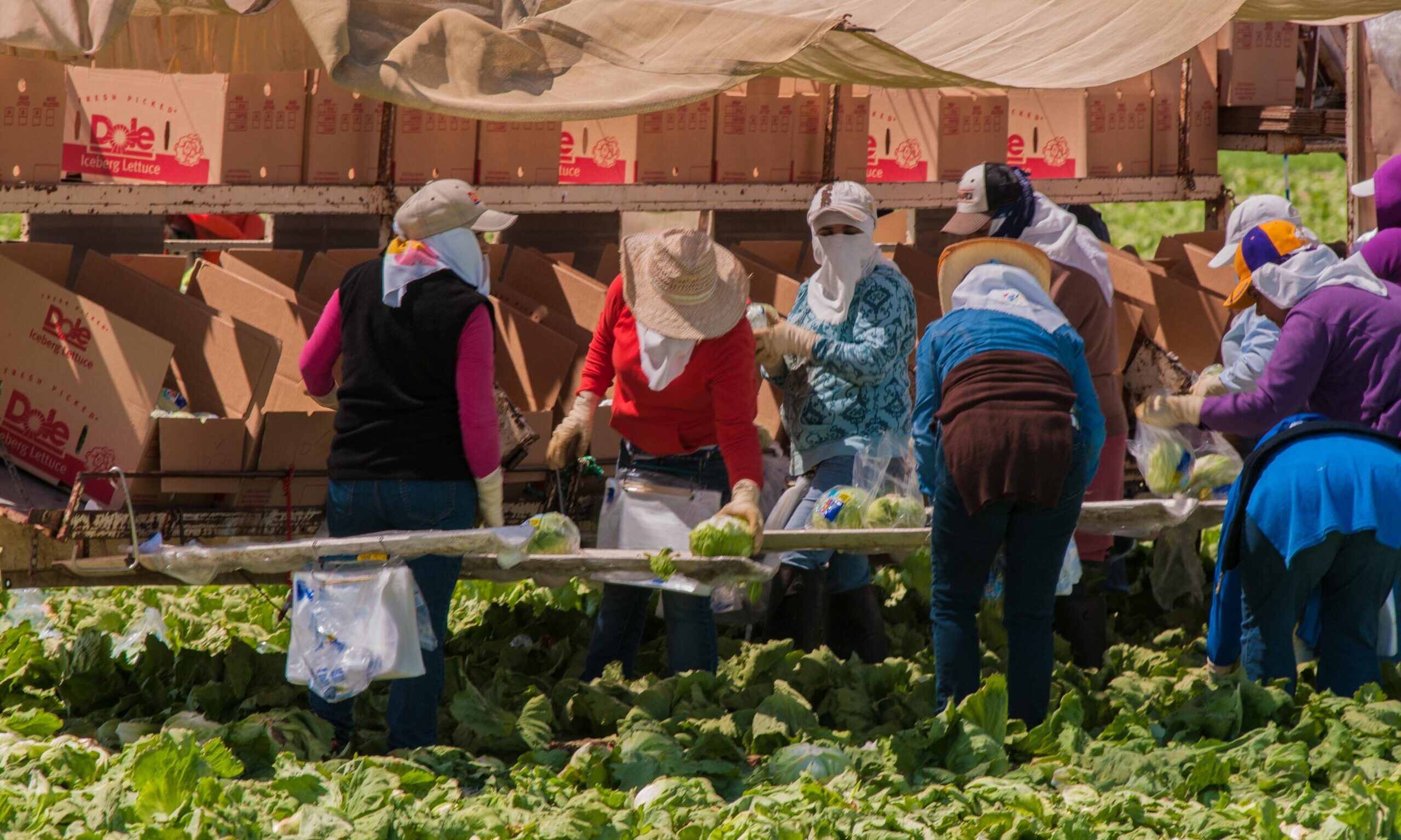 The Food and Farm Bill Can Do a Lot for Workers - Union of Concerned ...