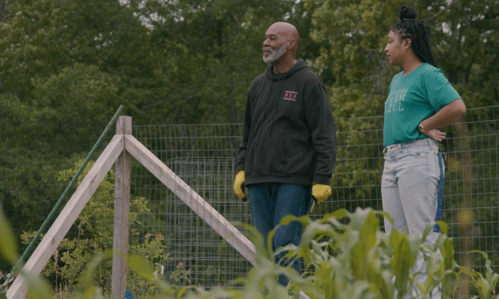 photo of two Black farmers, one male and one female, standing side by side looking out at their farm, with woods in the background