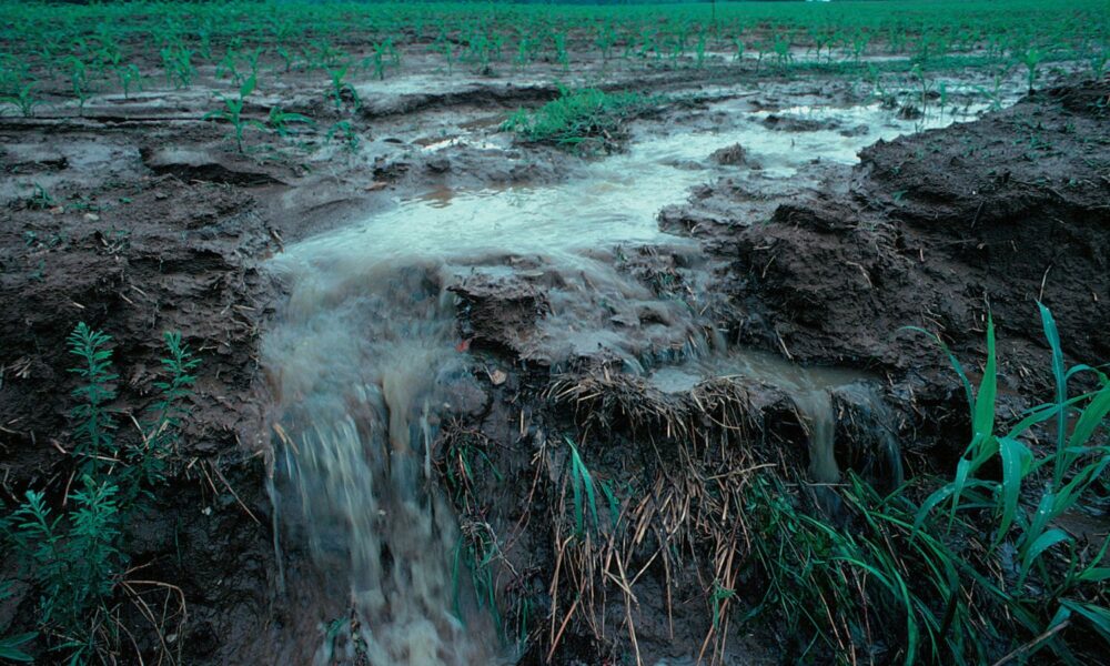 farm runoff