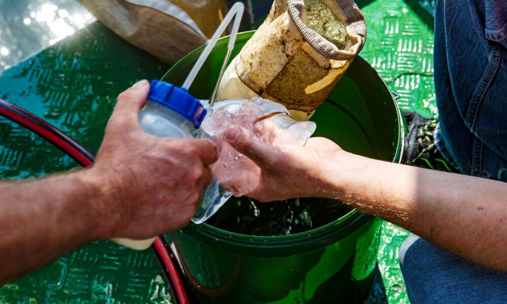 A scientist collects samples on board a research vessel as part of a research project to investigate falling oxygen levels in the Baltic Sea.