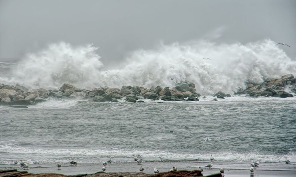 Waves crashing on Rhode Island coast. Seagulls in foreground.