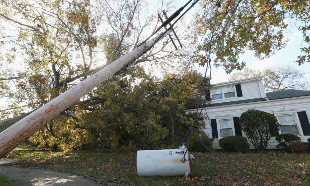 An electrical transformer, power lines and a tree rest in the yard of a house.