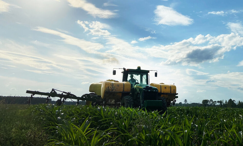 photo of a farm vehicle spraying fertilizer on a field of corn, with a bright, partly cloudy sky in the background