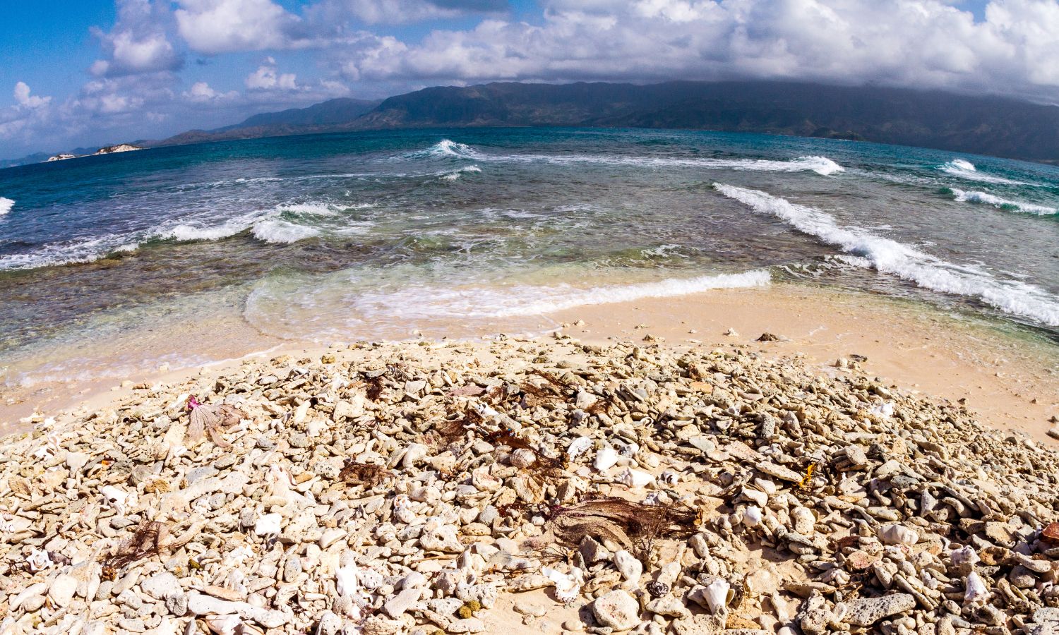 The Fossil Fuel Industry’s Lasting Imprint on Global Sea Levels - Union ...