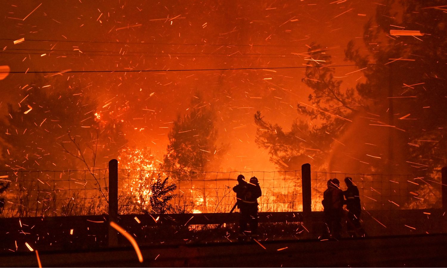 Wildfires Are Getting Worse. Trump's Science Cuts Could Threaten