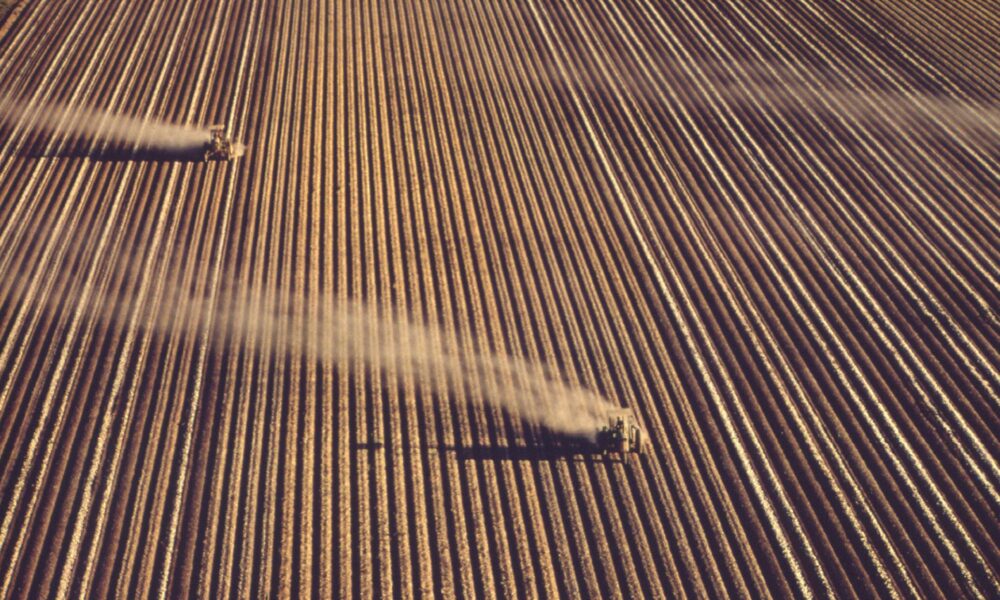 aerial photo of two tractors spraying fertilizer on a large brown field divided into many rows; the spray drifts off to the left from a breeze