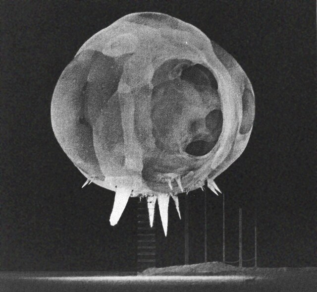 Black and white image of a nuclear fireball emanating from a 1952 above-ground nuclear test. 