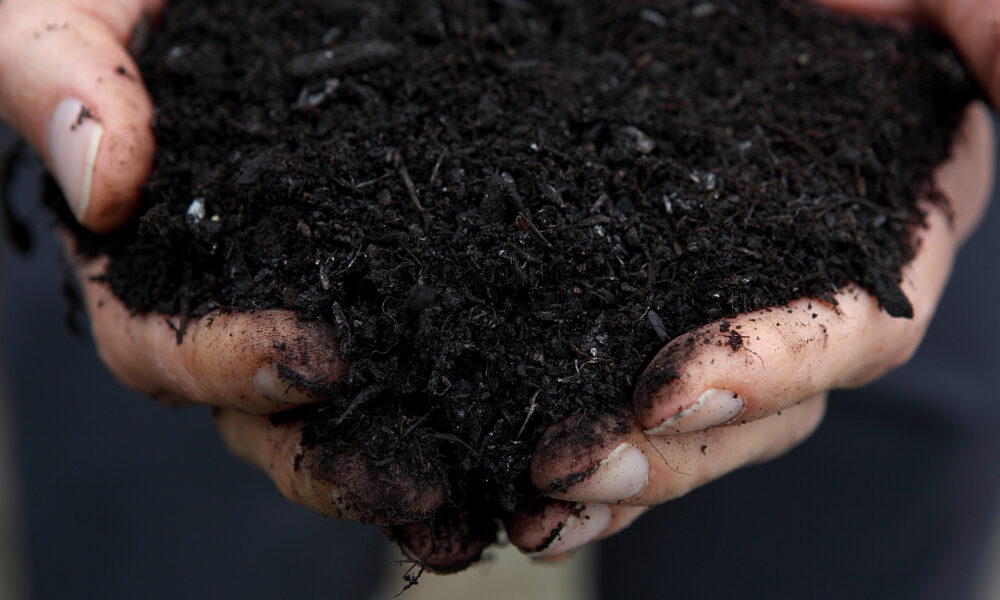 close-up photo of two hands holding a clump of dark, moist soil