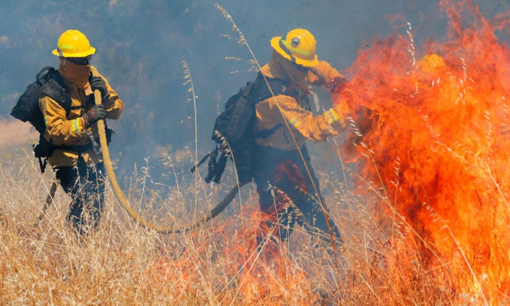 Marin County firefighters train during a prescribed, or deliberate, burn on June 17, 2026 in San Rafael, California.